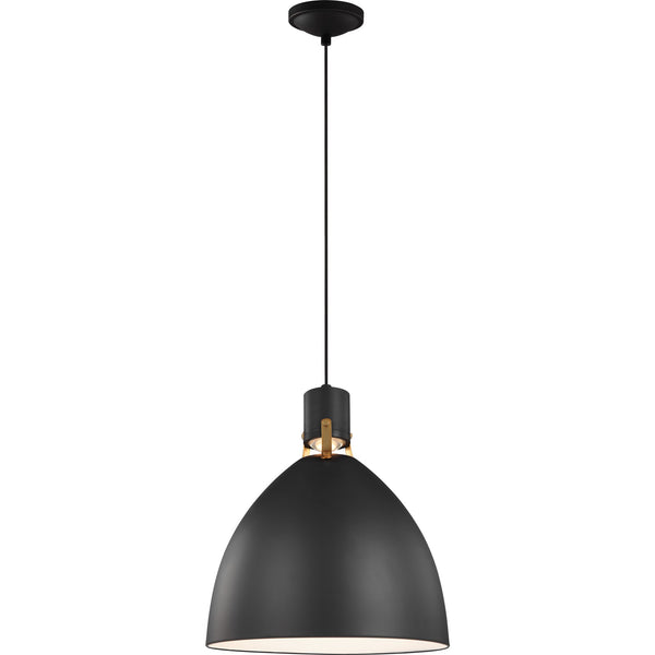 Brynne Medium LED Pendant Matte Black Bulbs IIncluded - Visual Comfort Ceiling Lights