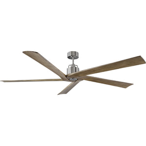 Aspen 70" Ceiling Fan - Visual Comfort Fan 12