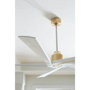 Aspen 70" Ceiling Fan - Visual Comfort Fan 7