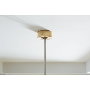 Aspen 70" Ceiling Fan - Visual Comfort Fan 29