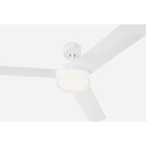 Cirque 56" LED Ceiling Fan - Visual Comfort Fan 19