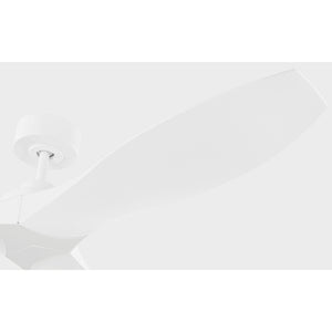 Collins Coastal Smart 60" Ceiling Fan - Visual Comfort Fan 18