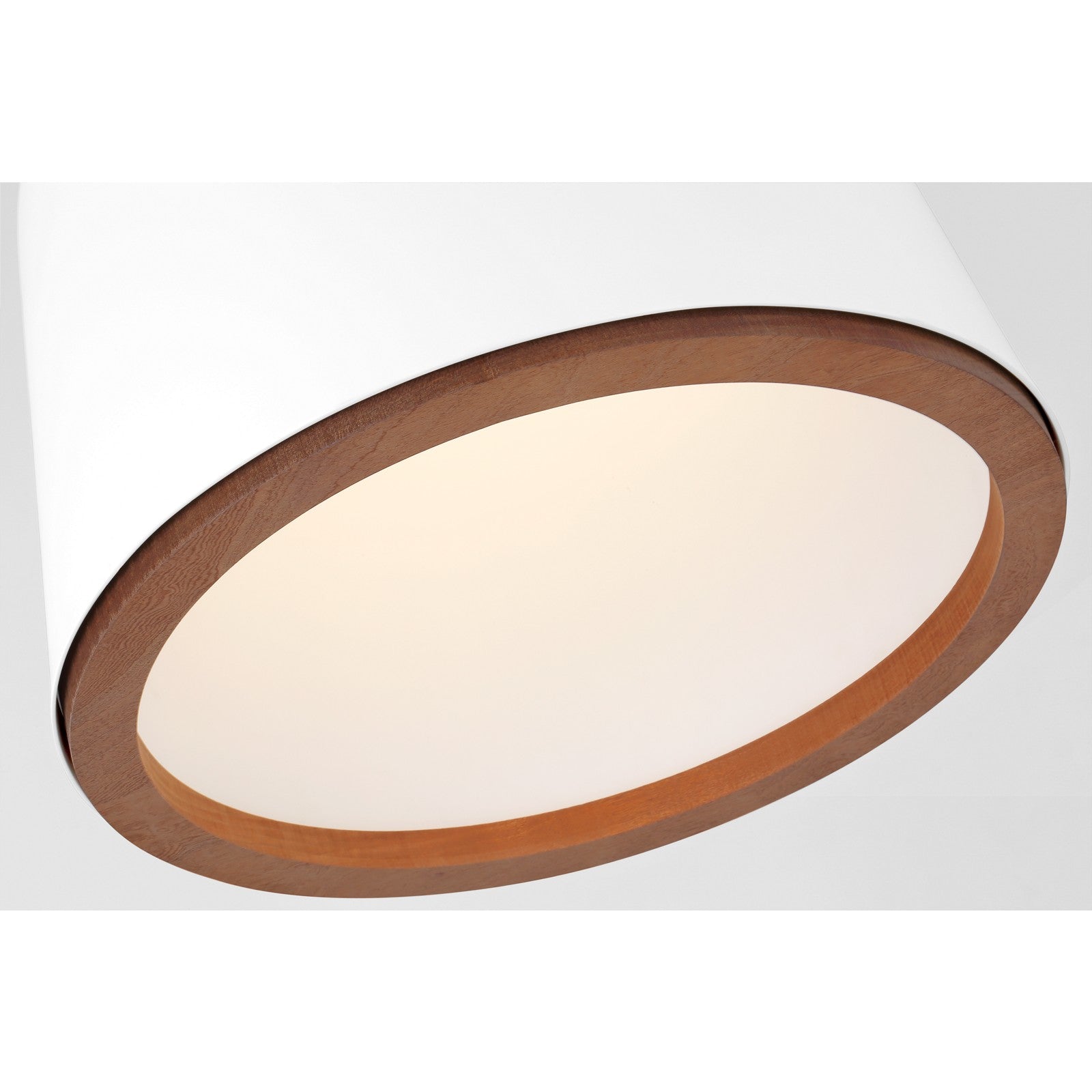 Murphy Medium Pendant - Visual Comfort Ceiling Lights