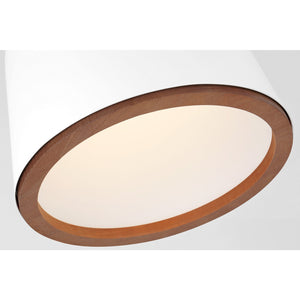 Murphy Medium Pendant - Visual Comfort Ceiling Lights