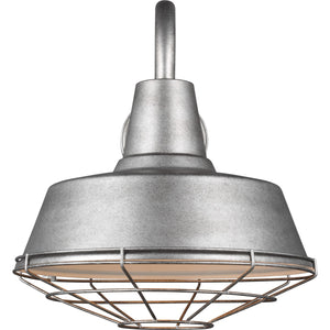 Cage for Large Barn Light White - Visual Comfort Lighting