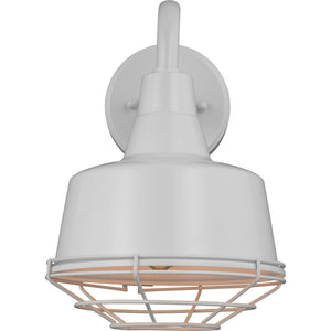 Cage for Small Barn Light White - Visual Comfort Lighting
