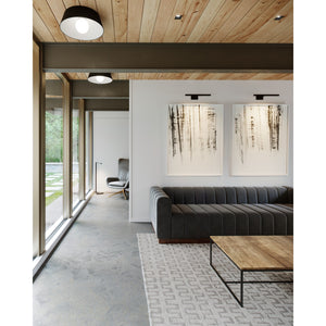 Dessau 18 Picture Light - Visual Comfort Modern 16
