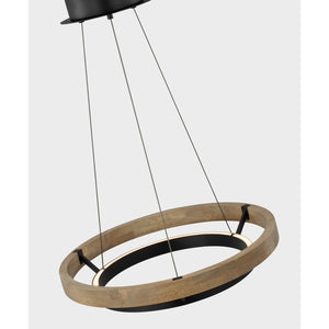 Grace 24 Chandelier - Visual Comfort Modern 4