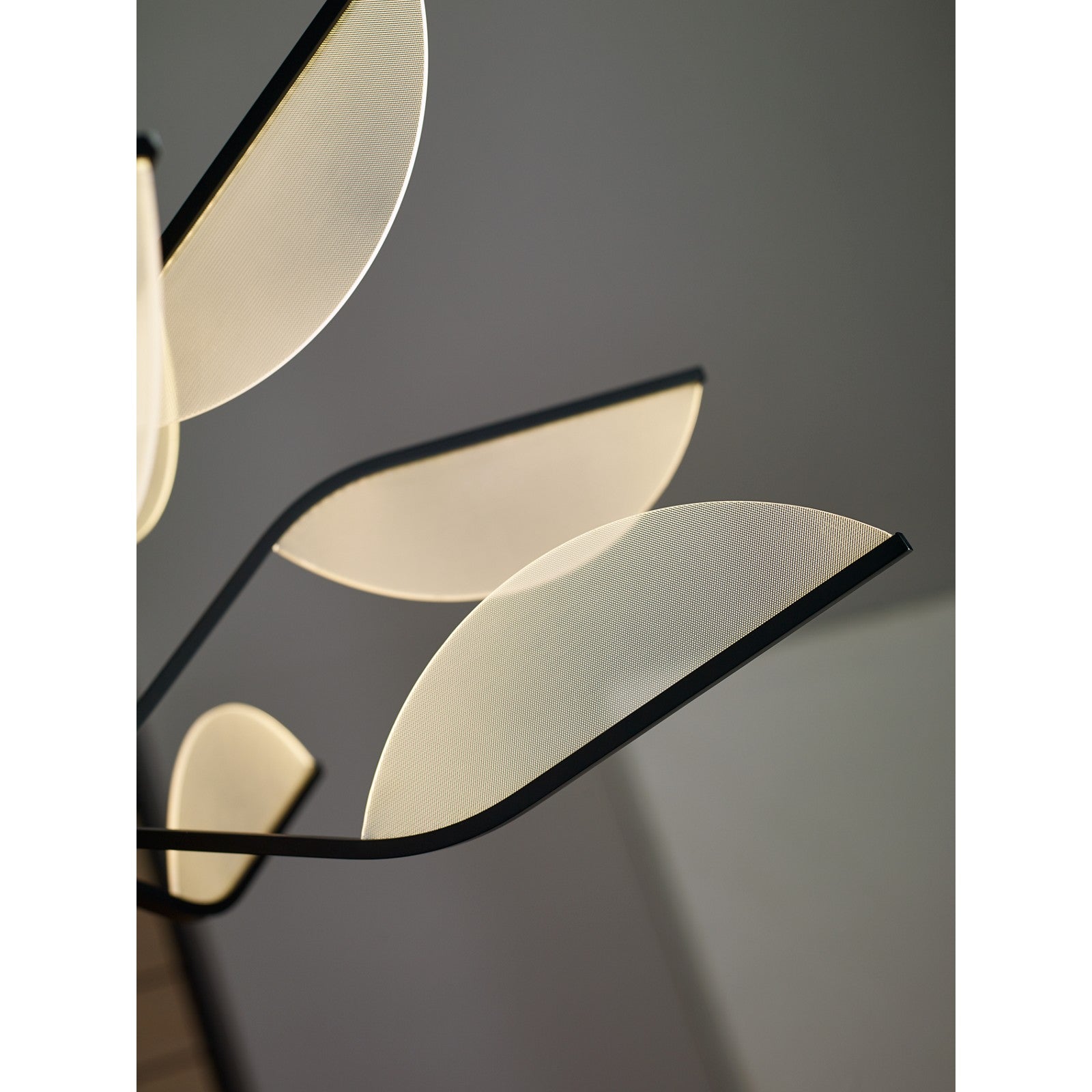 Belterra 38 Chandelier - Visual Comfort Modern 11