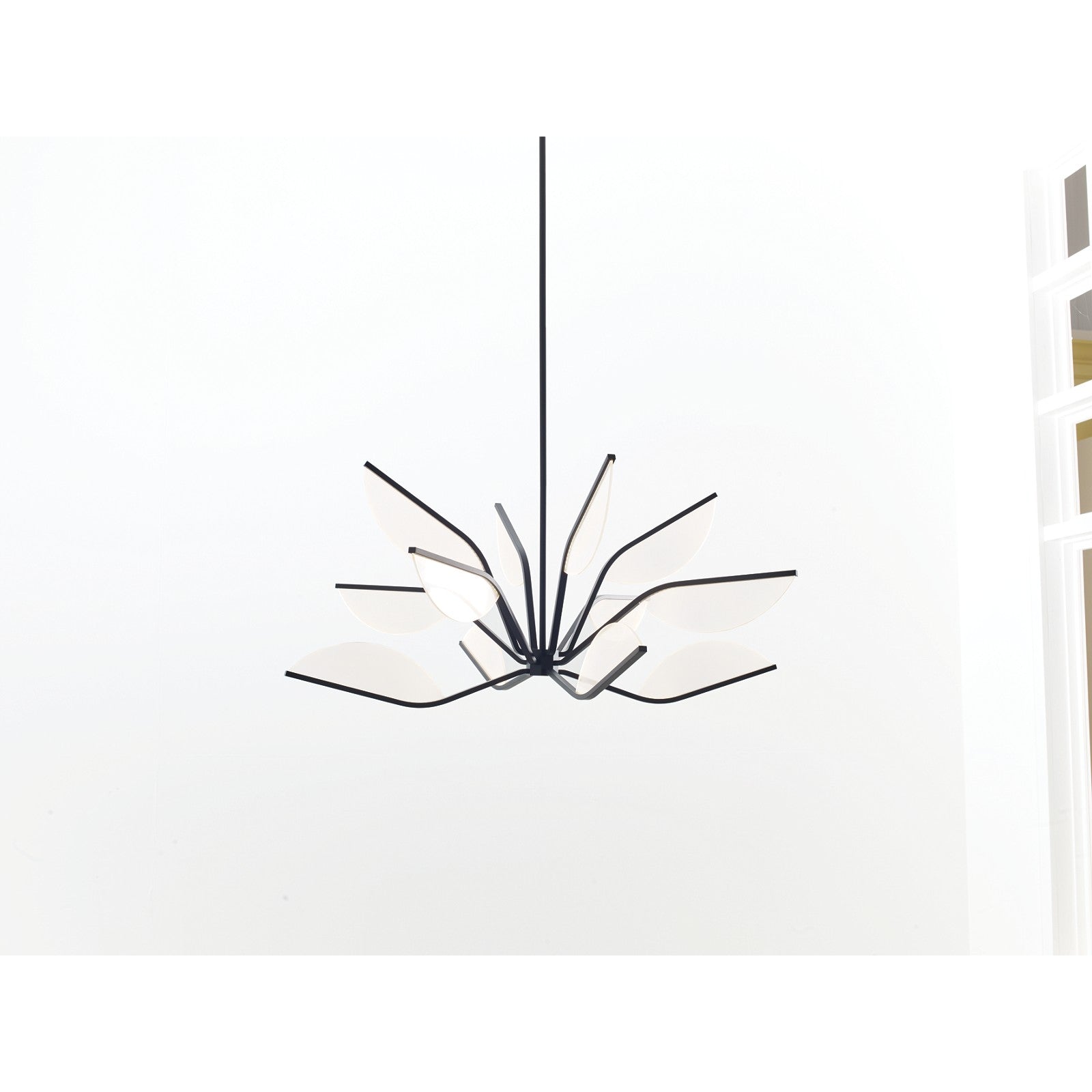 Belterra 38 Chandelier - Visual Comfort Modern 2