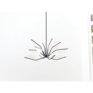 Belterra 38 Chandelier - Visual Comfort Modern 2