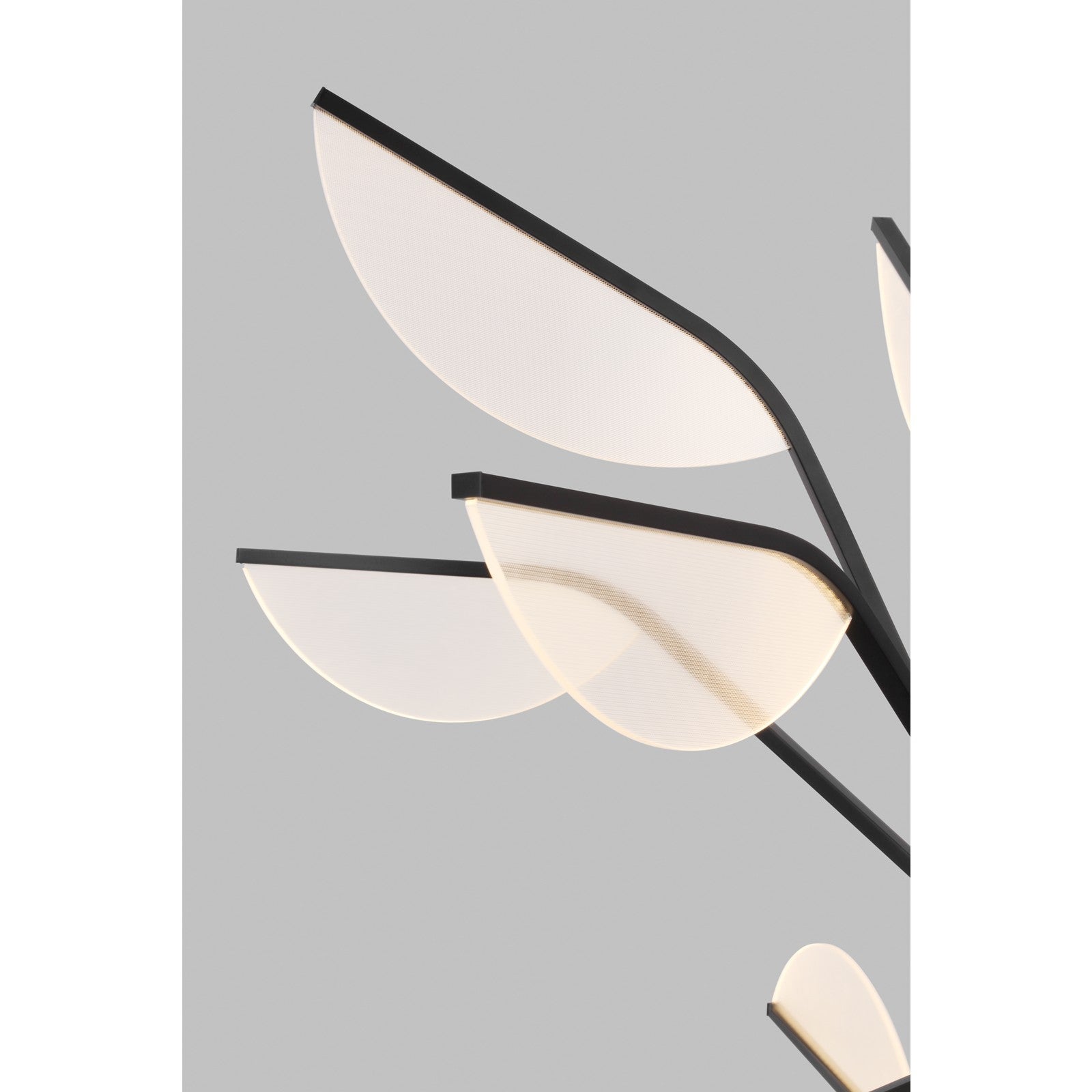 Belterra 48 Chandelier - Visual Comfort Modern 3