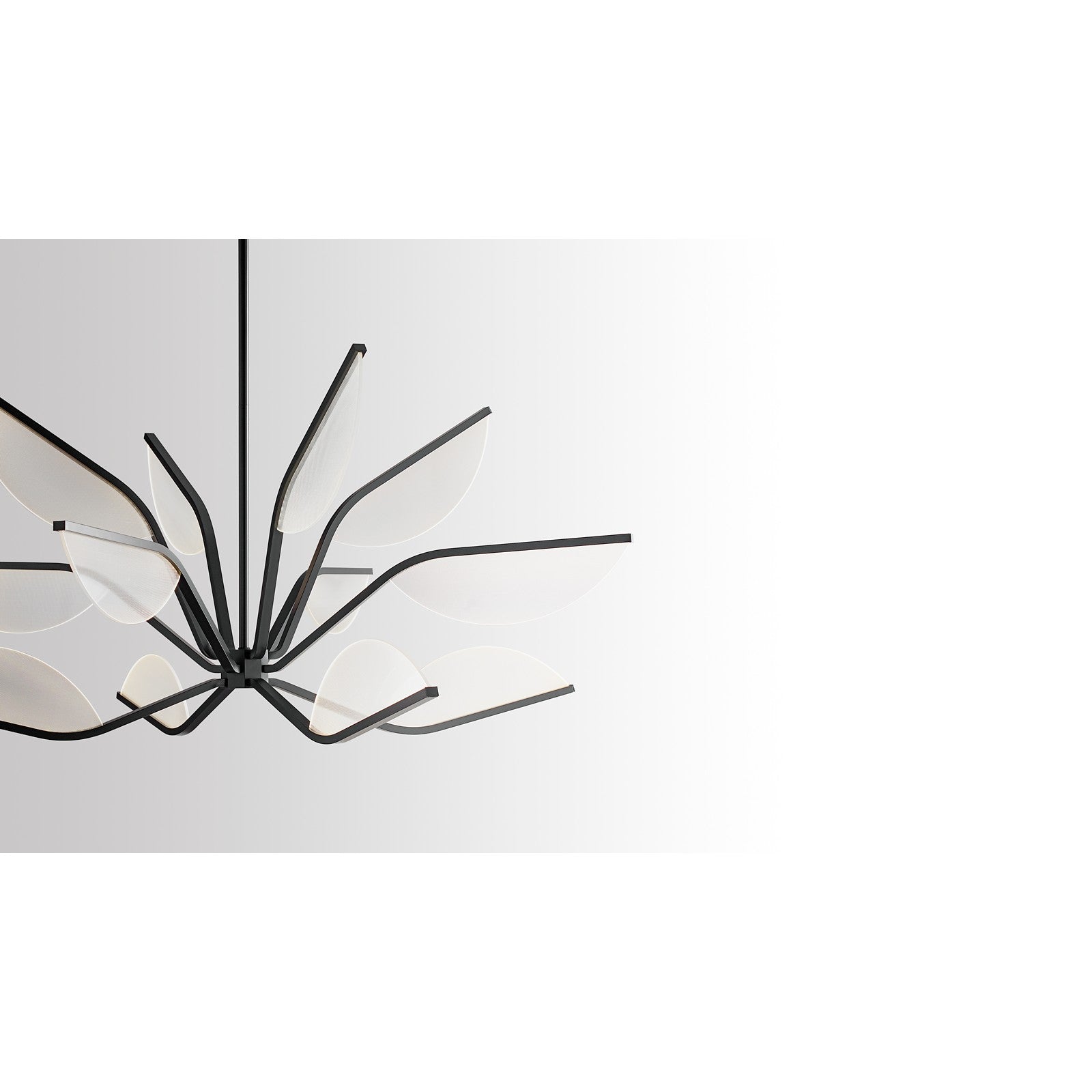 Belterra 38 Chandelier - Visual Comfort Modern 10