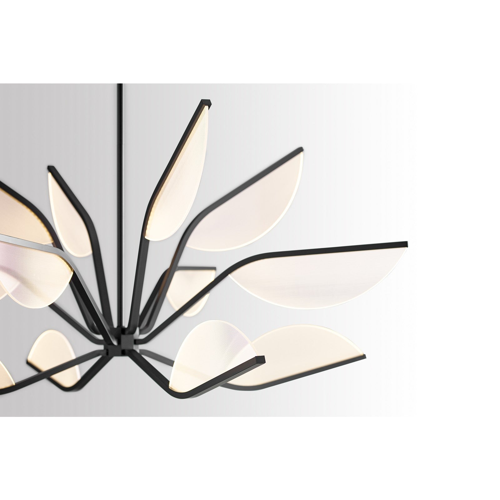 Belterra 38 Chandelier - Visual Comfort Modern 8