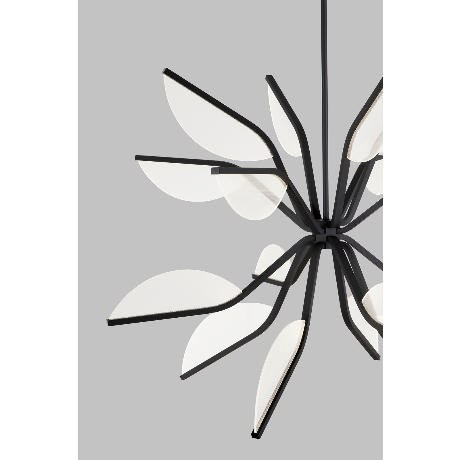 Belterra 38 Globe Chandelier - Visual Comfort Modern 5