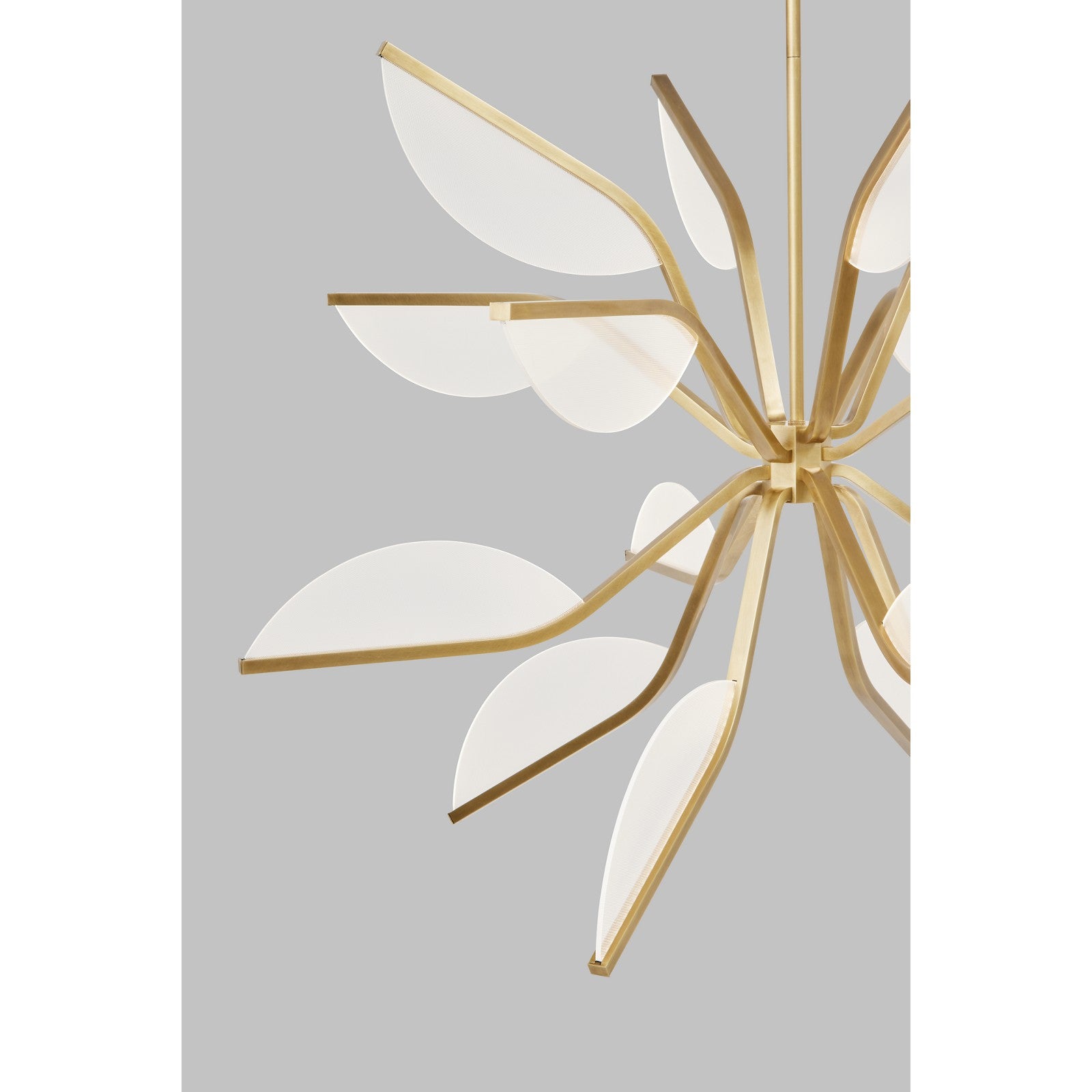 Belterra 38 Globe Chandelier - Visual Comfort Modern 12