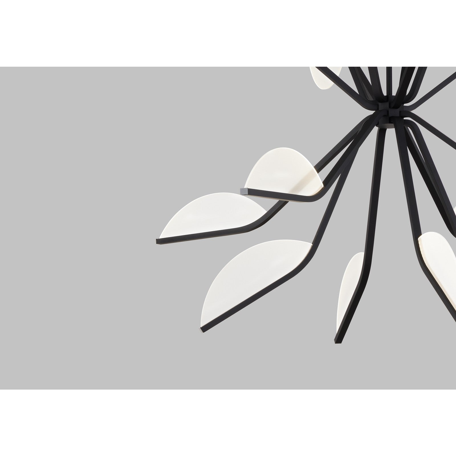 Belterra 43 Chandelier - Visual Comfort Modern 5