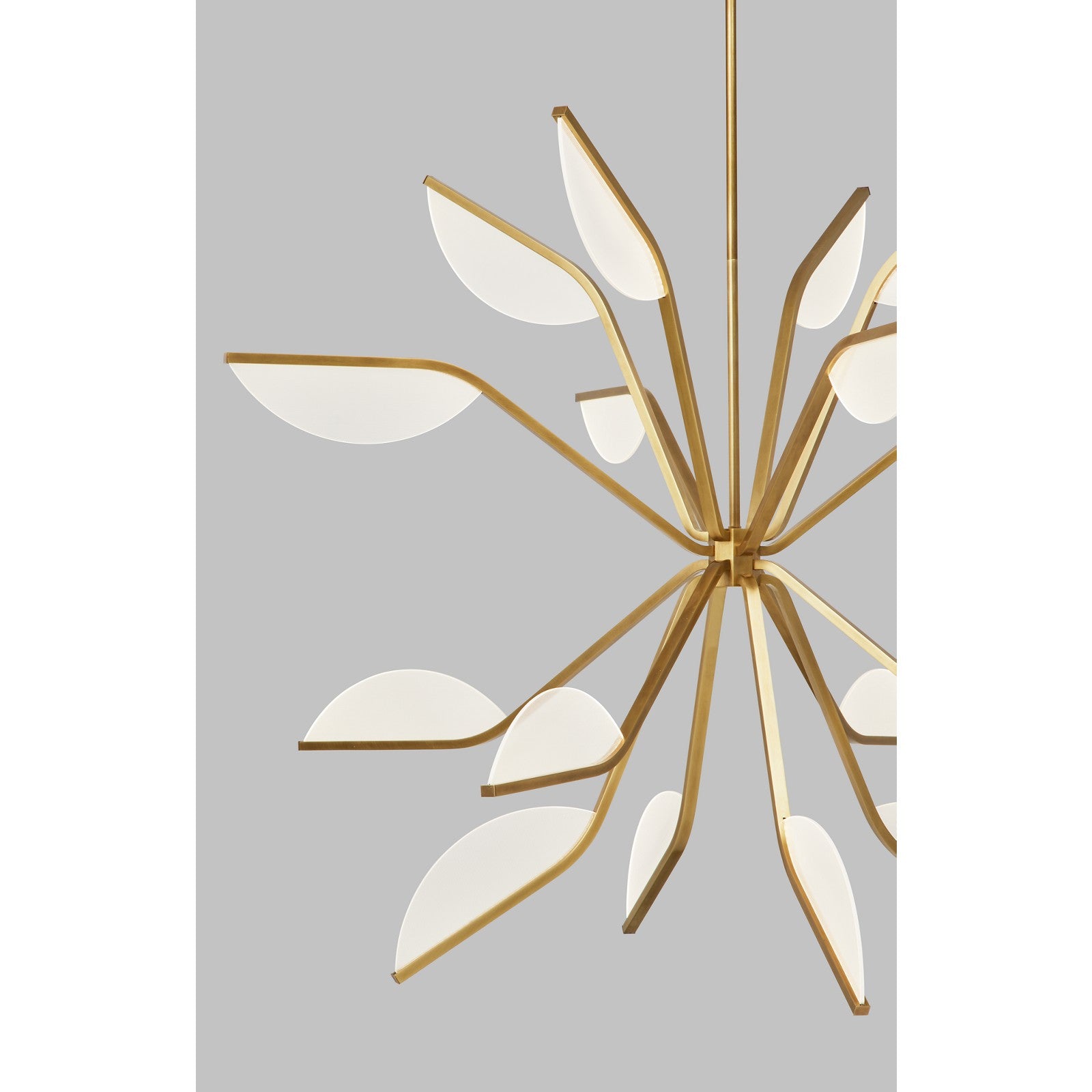 Belterra 43 Chandelier - Visual Comfort Modern 13