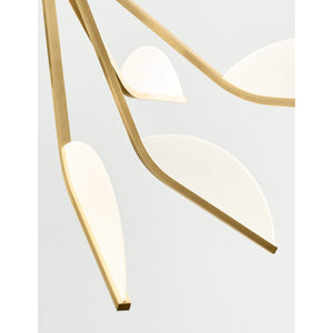 Belterra 43 Chandelier - Visual Comfort Modern 20