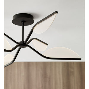 Belterra 30 Flushmount/Chandelier - Visual Comfort Modern 9
