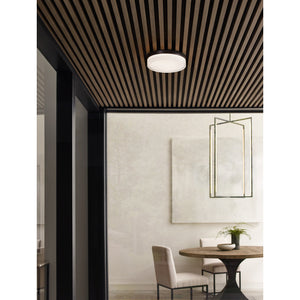 Cirque Large Outdoor Wall/Flush Mount - Visual Comfort Modern 8