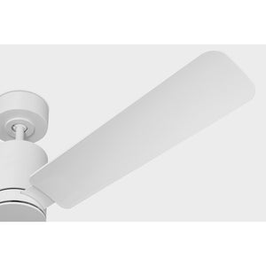 Cleancut Smart 54" LED Ceiling Fan - Visual Comfort Fan 31