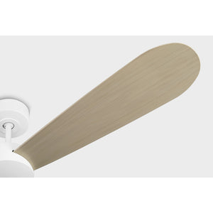 Paddle Smart 60" Ceiling Fan - Visual Comfort Fan 12