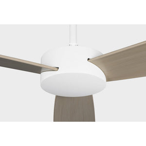 Paddle Smart 60" Ceiling Fan - Visual Comfort Fan 11