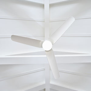Colgin 56" LED Ceiling Fan - Visual Comfort Fan 13