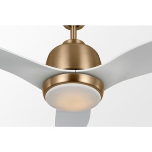 Avila 44" LED Ceiling Fan - Visual Comfort Fan 14