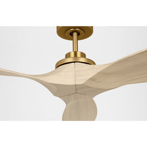 Collins Smart 52" Ceiling Fan - Visual Comfort Fan 4