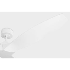 Collins Smart 70" Ceiling Fan - Visual Comfort Fan 24