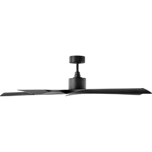 Aspen Coastal 56" Ceiling Fan - Visual Comfort Fan 2