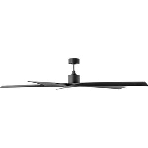 Aspen Coastal 70" Ceiling Fan - Visual Comfort Fan 2
