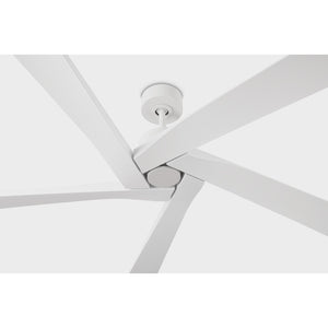 Aspen Coastal 70" Ceiling Fan - Visual Comfort Fan 8