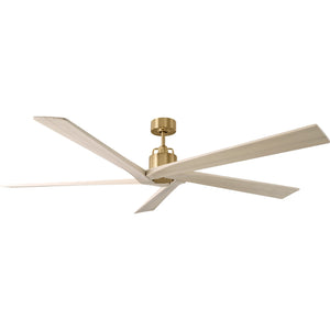 Aspen 70" Ceiling Fan - Visual Comfort Fan 8