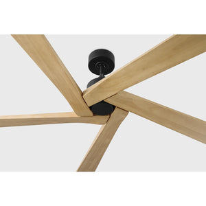 Aspen 70" Ceiling Fan - Visual Comfort Fan 25