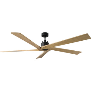 Aspen 70" Ceiling Fan - Visual Comfort Fan 21
