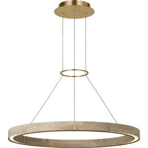 Ashok 31 Chandelier - Visual Comfort Modern 3