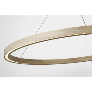 Ashok 49 Chandelier - Visual Comfort Modern 5