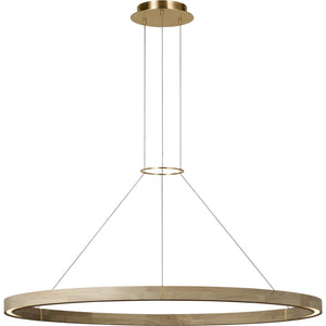 Ashok 49 Chandelier - Visual Comfort Modern 2