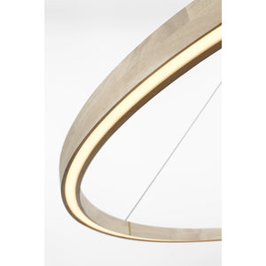 Ashok 65 Chandelier - Visual Comfort Modern 4