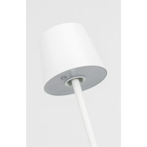 Nevis Medium Rechargeable Floor Lamp - Visual Comfort Modern 21