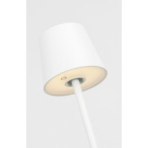Nevis Medium Rechargeable Floor Lamp - Visual Comfort Modern 23