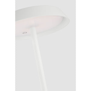 Tepa Medium Rechargeable Floor Lamp - Visual Comfort Modern 37