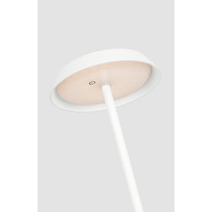 Tepa Medium Rechargeable Floor Lamp - Visual Comfort Modern 33
