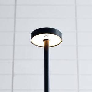 Moneta Medium Rechargeable Floor Lamp - Visual Comfort Modern 14