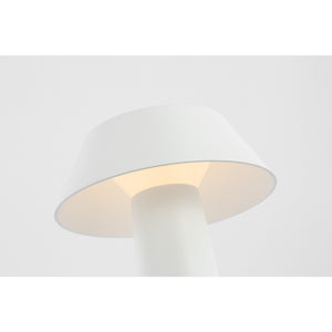 Sesa Short Accent Rechargeable Table Lamp - Visual Comfort Modern 28