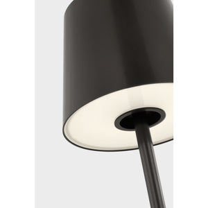 Nevis Accent Rechargeable Table Lamp - Visual Comfort Modern 41
