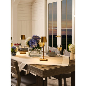 Nevis Accent Rechargeable Table Lamp - Visual Comfort Modern 58